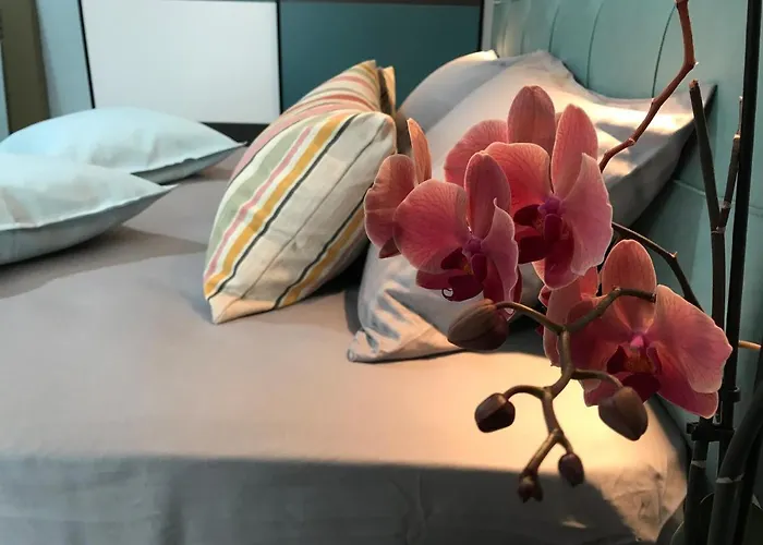 Apartment Panorama *