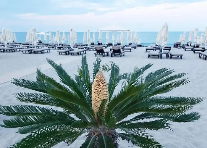 Apartment Panorama *